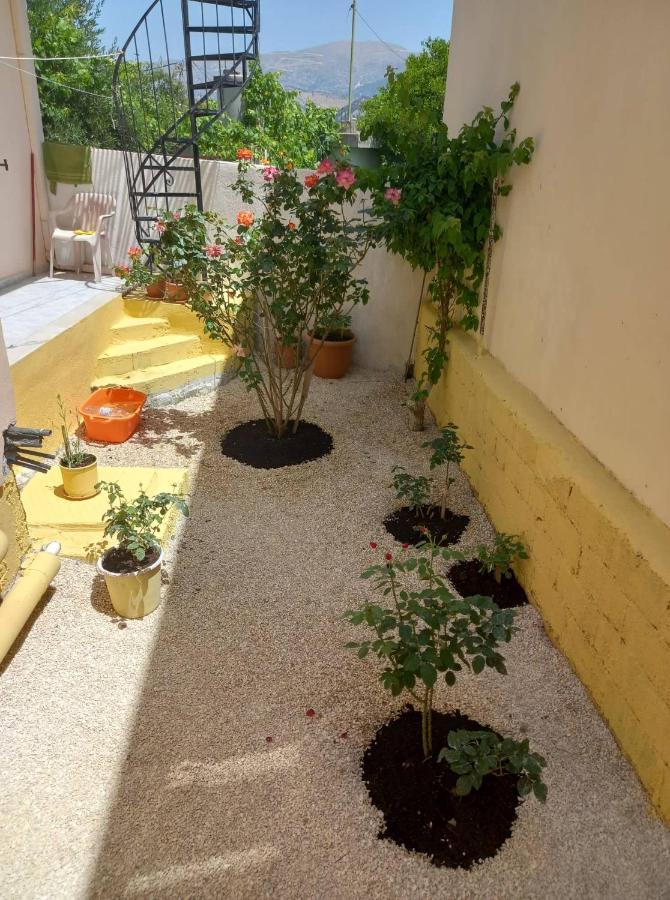 Villa Zoe'S House In Argostoli Exterior foto